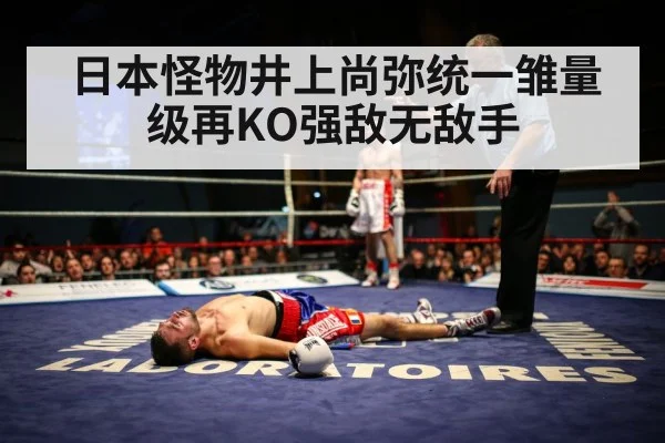 日本怪物井上尚弥统一雏量级再KO强敌无敌手