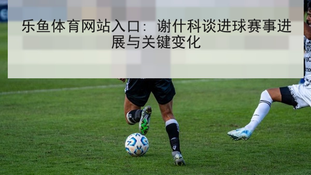 乐鱼体育网站入口: 谢什科谈进球赛事进展与关键变化 乐鱼体育网站入口: 谢什科谈进球赛事进展与关键变化